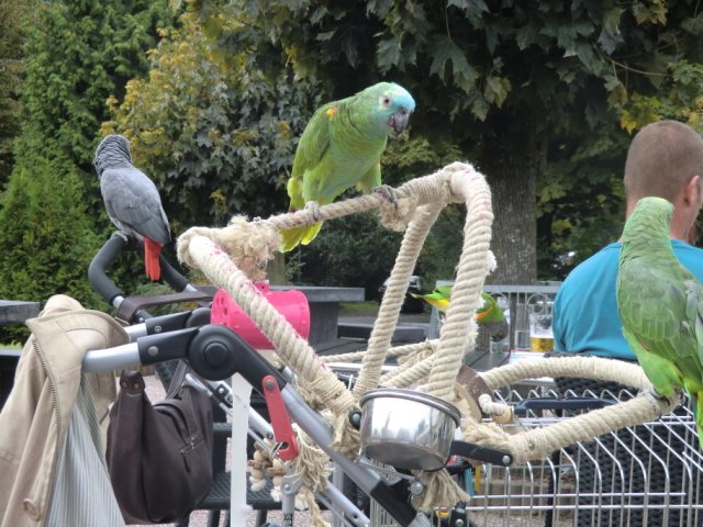 2011-09-04 Wantijpark